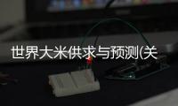 世界大米供求與預測(關于世界大米供求與預測簡述)