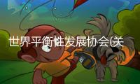 世界平衡性發(fā)展協(xié)會(關(guān)于世界平衡性發(fā)展協(xié)會簡述)