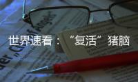 世界速看：“復活”豬腦后又突破？豬死亡后1小時重要器官功能可被恢復