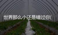 世界那么小還是錯過你(關于世界那么小還是錯過你簡述)