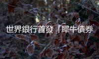 世界銀行首發「犀牛債券」：用南非黑犀牛的保育成效，決定投資收益
