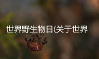 世界野生物日(關于世界野生物日簡述)