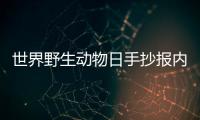 世界野生動物日手抄報內(nèi)容 世界野生動物日的手抄報怎么畫