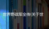世界野戰軍全傳(關于世界野戰軍全傳簡述)
