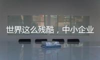 世界這么殘酷，中小企業(yè)拿什么逆襲？
