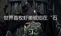 世界首枚蝦類琥珀在“石探記博物科學館”展出—新聞—科學網
