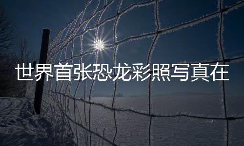 世界首張恐龍彩照寫(xiě)真在大連生成