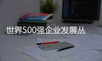 世界500強(qiáng)企業(yè)發(fā)展叢書(關(guān)于世界500強(qiáng)企業(yè)發(fā)展叢書簡(jiǎn)述)