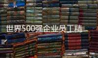 世界500強(qiáng)企業(yè)員工精神(關(guān)于世界500強(qiáng)企業(yè)員工精神簡(jiǎn)述)