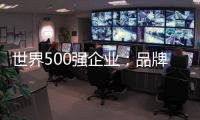 世界500強(qiáng)企業(yè)：品牌創(chuàng)新之道(關(guān)于世界500強(qiáng)企業(yè)：品牌創(chuàng)新之道簡(jiǎn)述)
