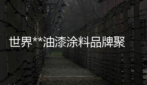 世界**油漆涂料品牌聚焦
