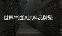 世界**油漆涂料品牌聚焦