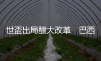 世盃出局釀大改革　巴西聘外籍主帥惹名宿爭議