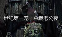 世紀第一寵：總裁老公夜夜來(關于世紀第一寵：總裁老公夜夜來簡述)