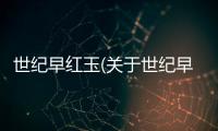 世紀(jì)早紅玉(關(guān)于世紀(jì)早紅玉簡(jiǎn)述)