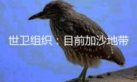 世衛組織：目前加沙地帶所獲援助物資只是“杯水車薪”