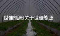 世佳能源(關于世佳能源簡述)