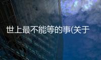 世上最不能等的事(關于世上最不能等的事簡述)