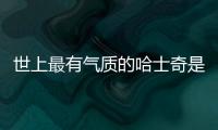 世上最有氣質(zhì)的哈士奇是誰(最漂亮的哈士奇)