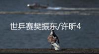 世乒賽樊振東/許昕4