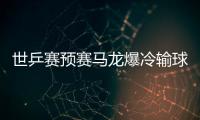 世乒賽預賽馬龍爆冷輸球 樊振東等為國乒確保席位