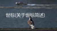 世標(關于世標簡述)