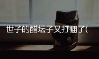 世子的醋壇子又打翻了(關于世子的醋壇子又打翻了簡述)