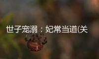 世子寵溺：妃常當道(關于世子寵溺：妃常當道簡述)