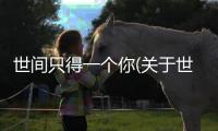 世間只得一個你(關于世間只得一個你簡述)
