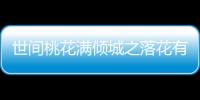世間桃花滿傾城之落花有情(關于世間桃花滿傾城之落花有情簡述)