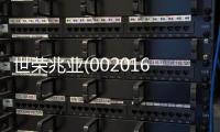 世榮兆業(002016)