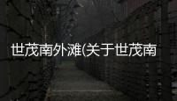 世茂南外灘(關于世茂南外灘簡述)