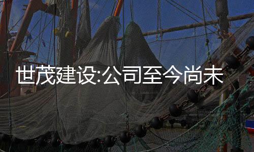 世茂建設(shè):公司至今尚未有公開市場的債務(wù)違約