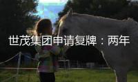 世茂集團申請復牌：兩年虧近486億元，負債4114億元