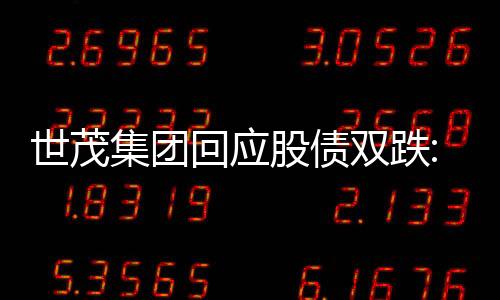 世茂集團(tuán)回應(yīng)股債雙跌:內(nèi)部正在了解情況,積極與投資人溝通