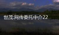 世茂:網(wǎng)傳委托中介22.5億銷售深坑酒店為不實消息