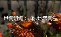 世衞組織：加沙地帶衞生系統正在被摧毀