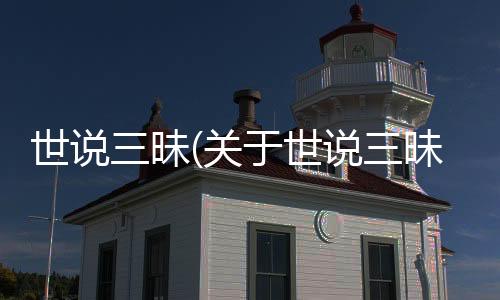 世說三昧(關(guān)于世說三昧簡述)