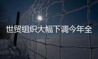 世貿(mào)組織大幅下調(diào)今年全球貿(mào)易增長預期