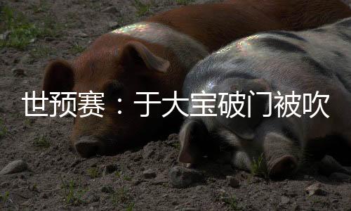 世預(yù)賽：于大寶破門被吹國足四中柱0：0中國香港