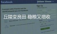 丘陵變良田 穩糧又增收_