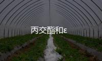 丙交酯和ε