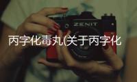 丙字化毒丸(關于丙字化毒丸簡述)