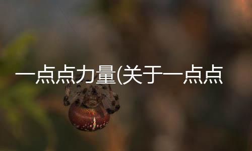 一點(diǎn)點(diǎn)力量(關(guān)于一點(diǎn)點(diǎn)力量簡述)