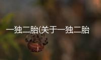 一獨二胎(關于一獨二胎簡述)