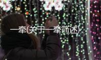 一牽(關于一牽簡述)