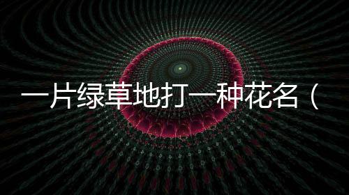 一片綠草地打一種花名（一片綠草地打一種花）