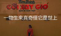 一物生來真奇怪它是世上一盤菜娘死它才生它死娘還在