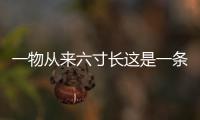 一物從來六寸長這是一條可靠的消息嗎?