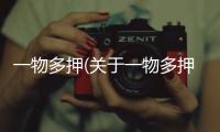 一物多押(關于一物多押簡述)